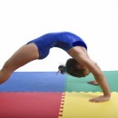 Clinic – Back Handspring – Advanced OP 3/24 2.45-3.45PM