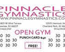 Open Gym Punch Card